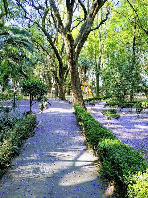 Parque Xicotencatl